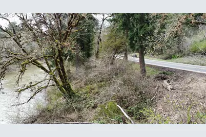 0 State Highway 38, Drain, OR 97435 - Photo 10