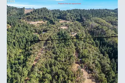 725 Wildflower Ln, Oakland, OR 97462 - Photo 4