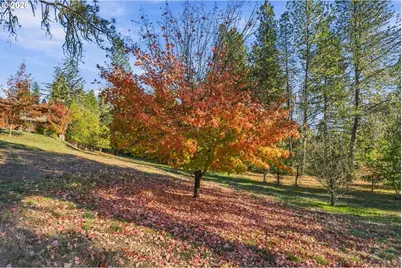 509 Jasmine Way, Roseburg, OR 97471 - Photo 38