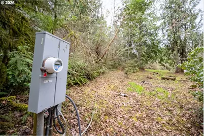 83715 Peninsula Rd, Fall Creek, OR 97438 - Photo 4