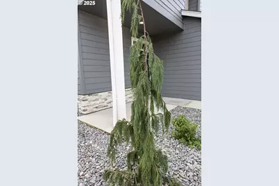 12819 NE 109th St, Vancouver, WA 98682 - Photo 2