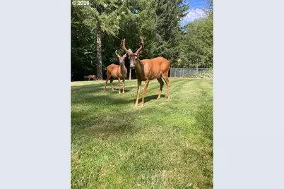24315 NE Dole Valley Rd, Yacolt, WA 98675 - Photo 48