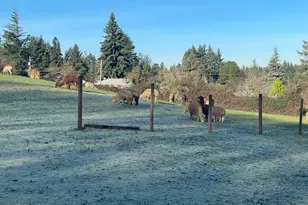 12101 NW 17th Ave, Vancouver, WA 98685 - Photo 6