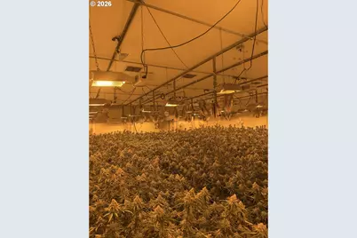 [Address not provided], Eugene, OR 97402 - Photo 2