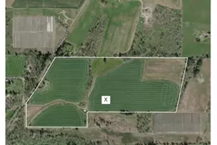 32998 S Hwy 213, Molalla, OR 97038 - Photo 10