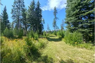 58472 Hwy 204, Weston, OR 97886 - Photo 20