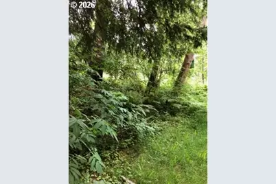 Land End Of Beech St, Cannon Beach, OR 97110 - Photo 6
