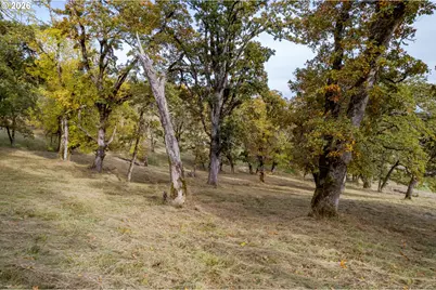 Hidden Meadows, Eugene, OR 97405 - Photo 12