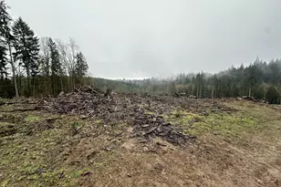 0 Terry Rd, Rainier, OR 97048 - Photo 1