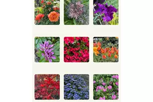 17295 Hanneman Ct, Gladstone, OR 97027 - Photo 32