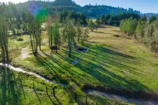 37410 Hills Creek Rd, Springfield, OR 97478 - Photo 40