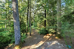 241 Skamania Mines Rd, Washougal, WA 98671 - Photo 34