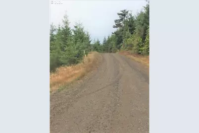 Nw Ridge Rd, Forest Grove, OR 97116 - Photo 6