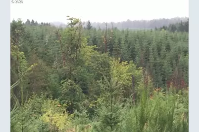 Nw Ridge Rd, Forest Grove, OR 97116 - Photo 4