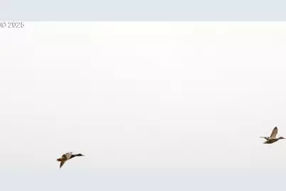 34521 Big Meadow Ln, Deer Island, OR 97054 - Photo 46