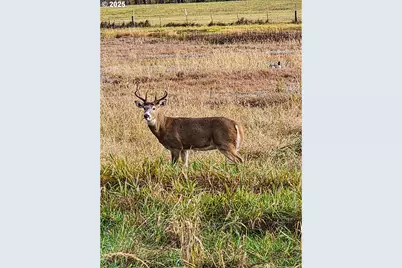 34521 Big Meadow Ln, Deer Island, OR 97054 - Photo 44