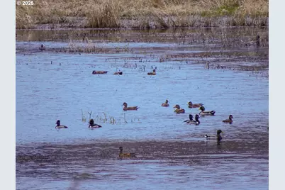 34521 Big Meadow Ln, Deer Island, OR 97054 - Photo 40