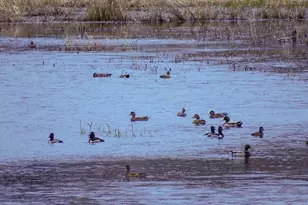 34521 Big Meadow Ln, Deer Island, OR 97054 - Photo 40
