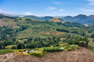 37555 Hauger Mountain Ln, Seaside, OR 97138 - Photo 4