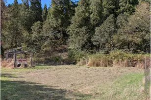 76526 W 2nd St, Oakridge, OR 97463 - Photo 14