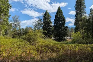 76526 W 2nd St, Oakridge, OR 97463 - Photo 24