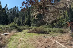 76526 W 2nd St, Oakridge, OR 97463 - Photo 16