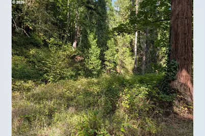 76526 W 2nd St, Oakridge, OR 97463 - Photo 20