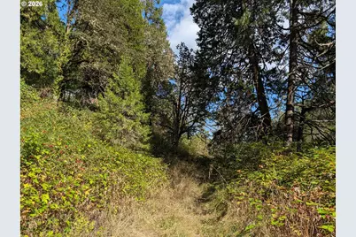 76526 W 2nd St, Oakridge, OR 97463 - Photo 22