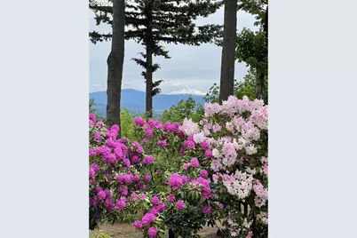 2006 NW Fargo Loop, Camas, WA 98607 - Photo 32