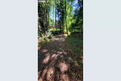 1097 Lees Creek Rd, Myrtle Creek, OR 97457 - Photo 42