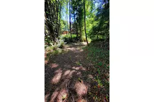 1097 Lees Crk Rd, Myrtle Creek, OR 97457 - Photo 42