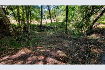 1097 Lees Creek Rd, Myrtle Creek, OR 97457 - Photo 40