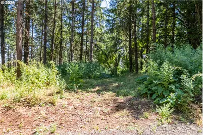 Lot 103 Scravel Hill Rd, Albany, OR 97322 - Photo 8