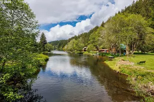 10252 Lakeview Dr, Birkenfeld, OR 97016 - Photo 28