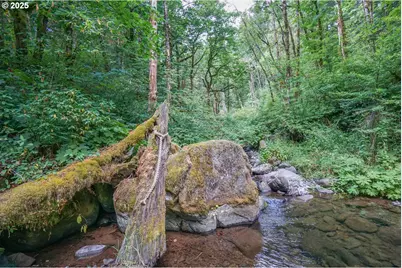 1922 Duncan Creek Rd, Stevenson, WA 98648 - Photo 10