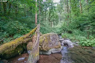 1922 Duncan Creek Rd, Stevenson, WA 98648 - Photo 10