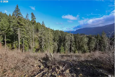 562 Woodard Creek Rd, Stevenson, WA 98648 - Photo 10