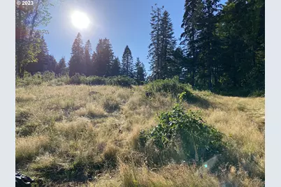562 Woodard Creek Rd, Stevenson, WA 98648 - Photo 8