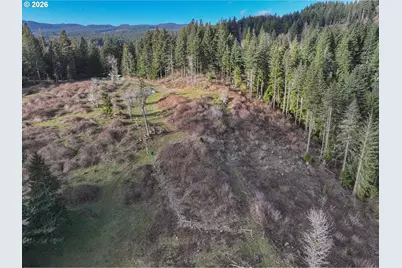 562 Woodard Creek Rd, Stevenson, WA 98648 - Photo 28