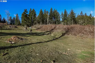 562 Woodard Creek Rd, Stevenson, WA 98648 - Photo 32