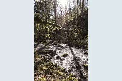168 Yale Landing Rd, Cougar, WA 98616 - Photo 40
