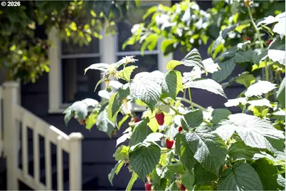1912 SE Pine St, Portland, OR 97214 - Photo 46