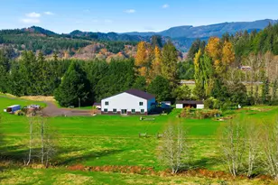 314 E Valley Rd, Skamokawa, WA 98647 - Photo 44