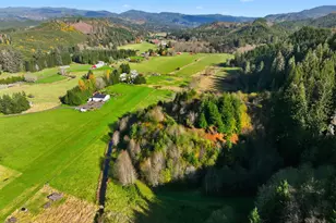 314 E Valley Rd, Skamokawa, WA 98647 - Photo 38