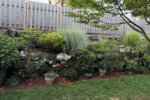 7427 SE Jack St, Milwaukie, OR 97222 - Photo 44