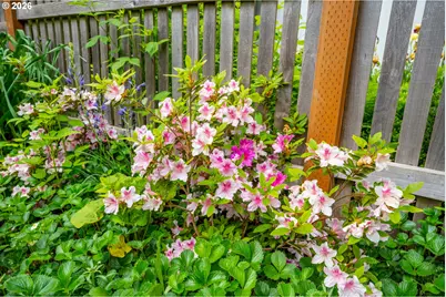 1480 NW 130th Ave, Portland, OR 97229 - Photo 46