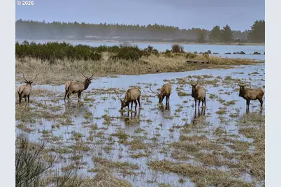 11635 Ernst Ct, Nehalem, OR 97131 - Photo 42