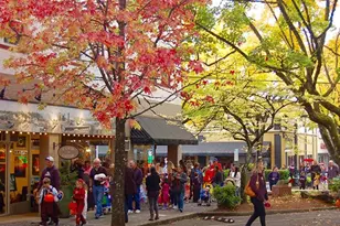 2311 SW 6th Ave, Camas, WA 98607 - Photo 26