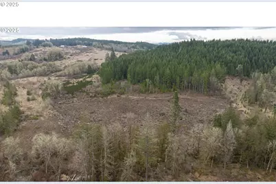 0 NW Panther Creek, Carlton, OR 97111 - Photo 12