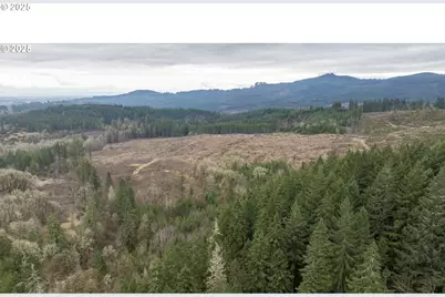 0 NW Panther Creek, Carlton, OR 97111 - Photo 14